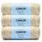 3 Pack Caron® Simply Soft Sunkissed™ Tonal Yarn